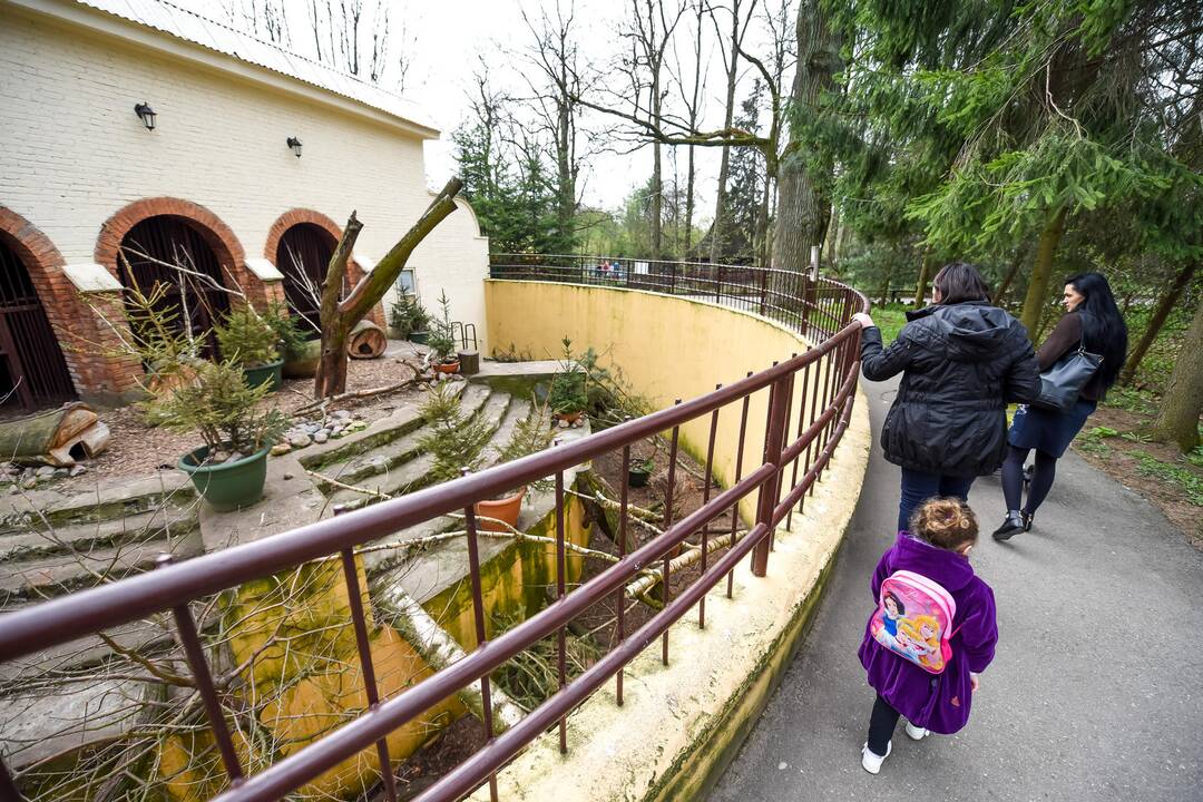 Zoologijos sodo sezono atidarymas
