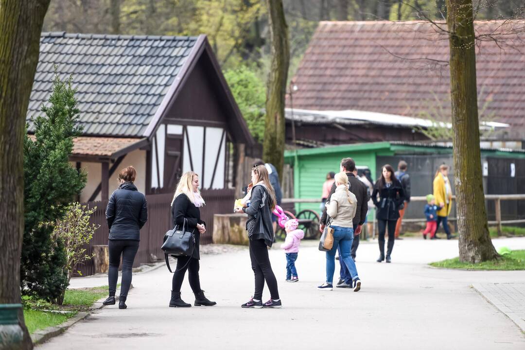 Zoologijos sodo sezono atidarymas