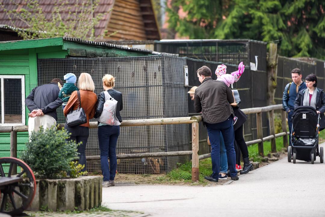 Zoologijos sodo sezono atidarymas