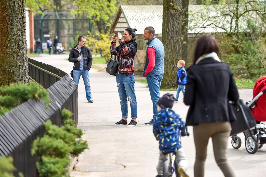 Zoologijos sodo sezono atidarymas