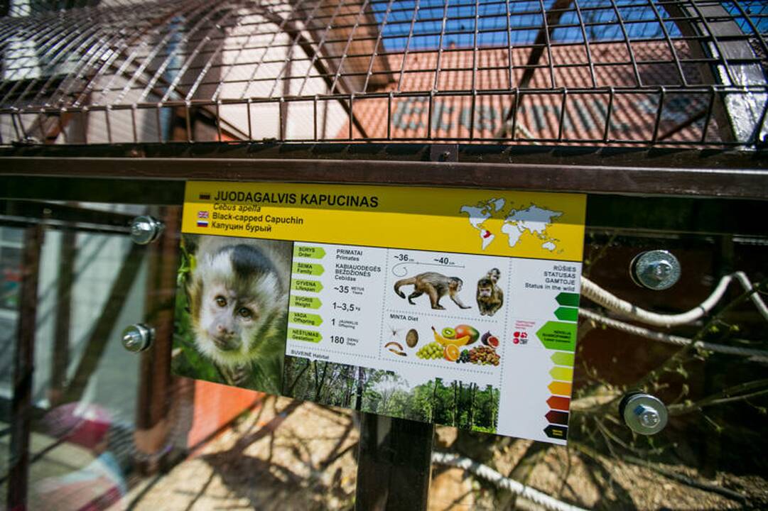 Zoologijos sodo sezono atidarymas