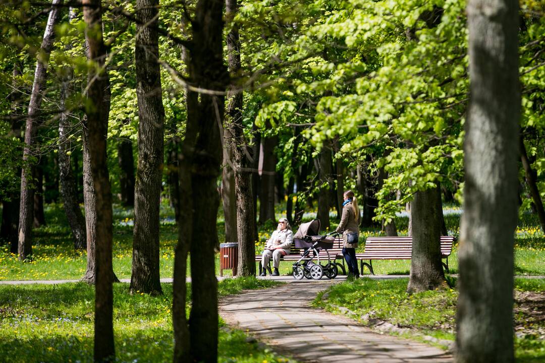 Ąžuolyno parkas