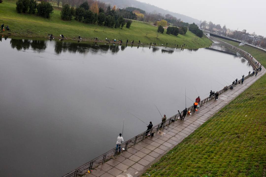 Žvejai Nemuno saloje