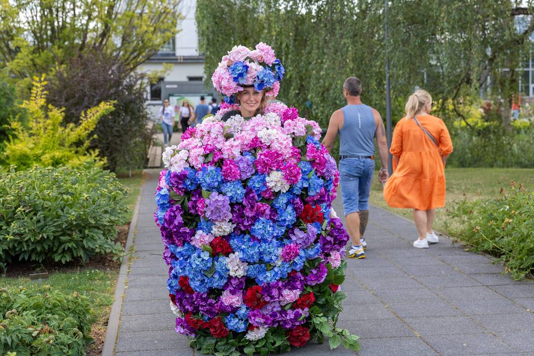 Botaninės naktys | Lietuvos pievos ir miškai – nakties paslaptys