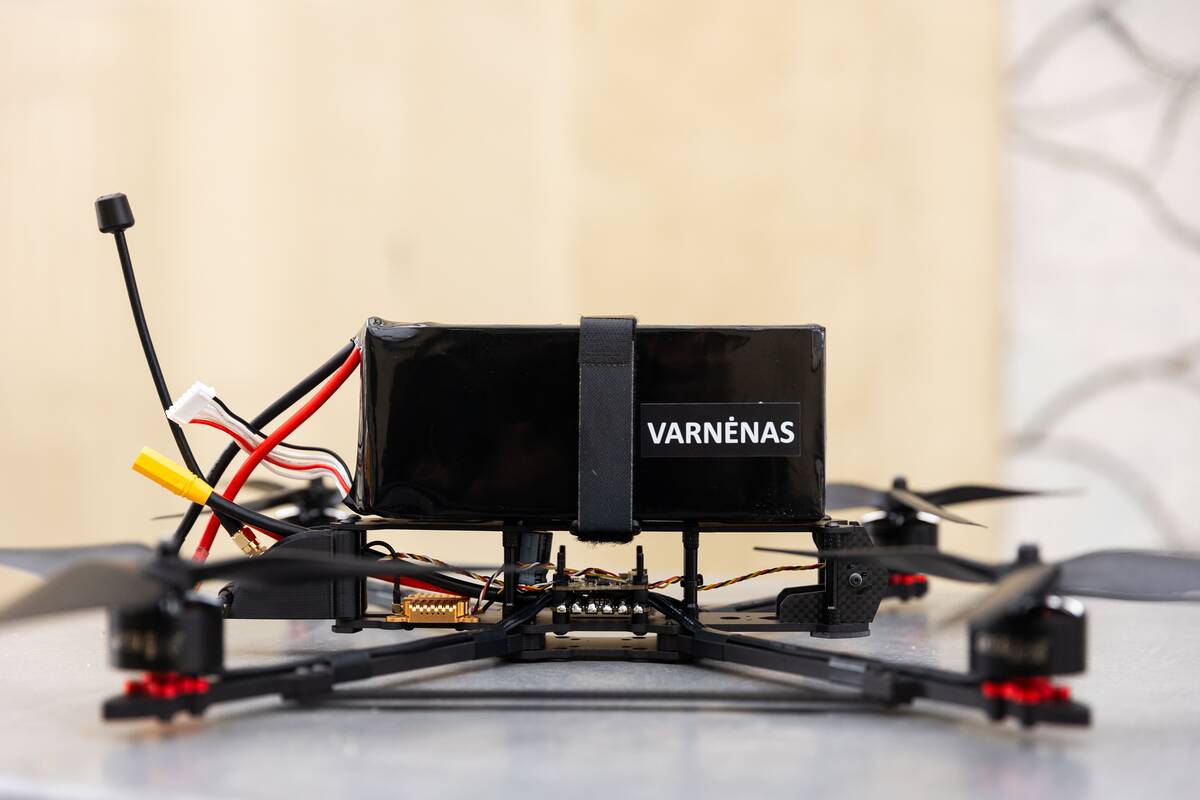  Akcijos „Laisvės paukščiai“ pristatymas