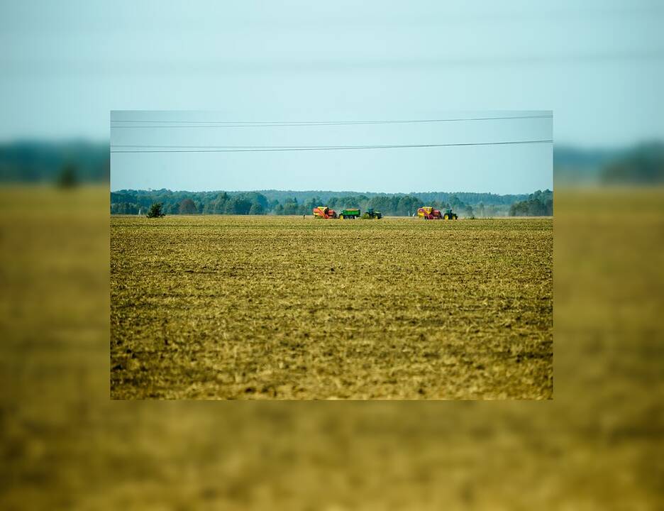 Nuo kitų metų Kauno rajone keisis nekilnojamojo turto mokesčiai