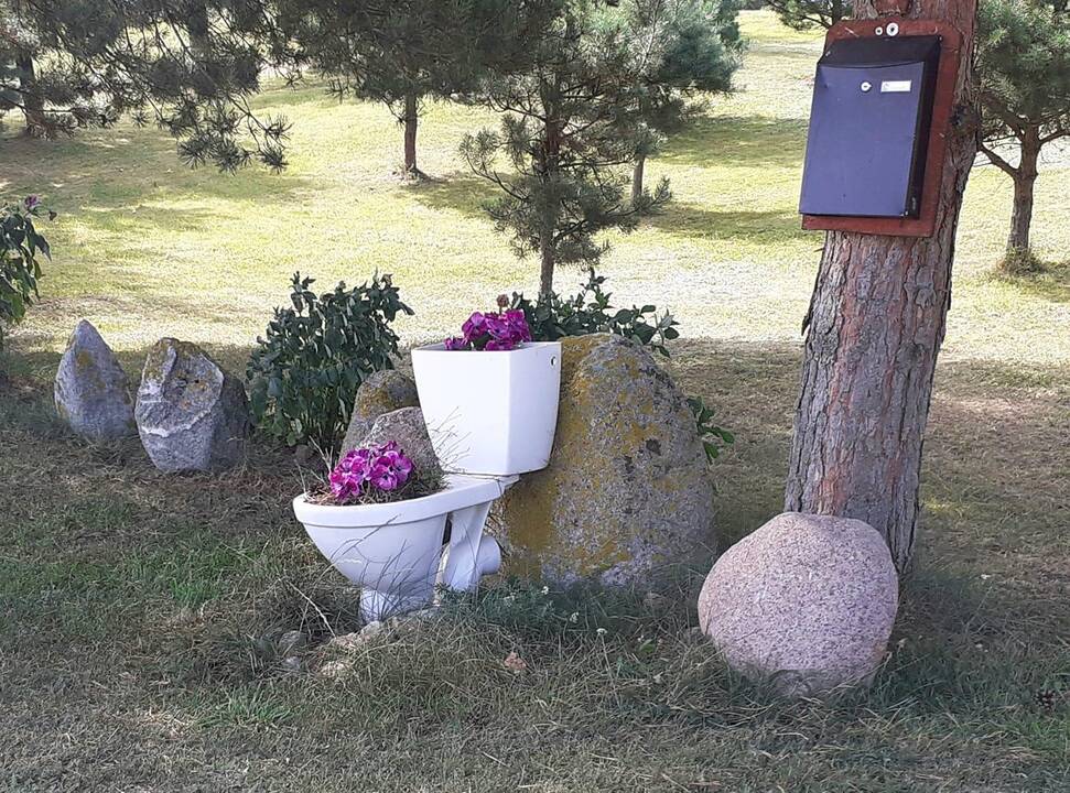 Puošmena: prie kelio padėto unitazo neįmanoma nepastebėti.