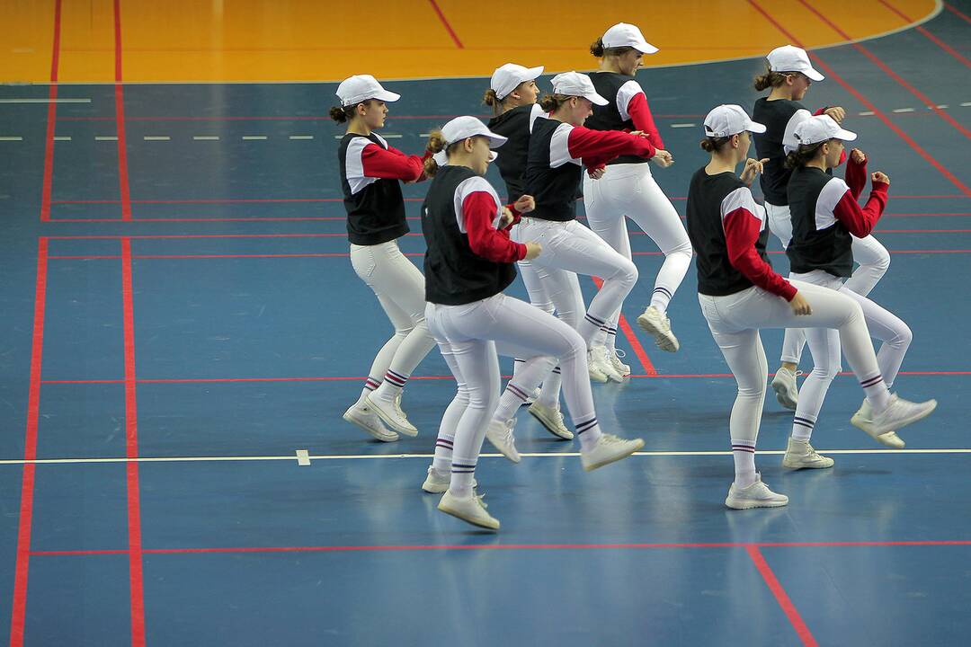 LRL ketvirtfinalis: „Granitas“ – „Vilnius“ 31:28