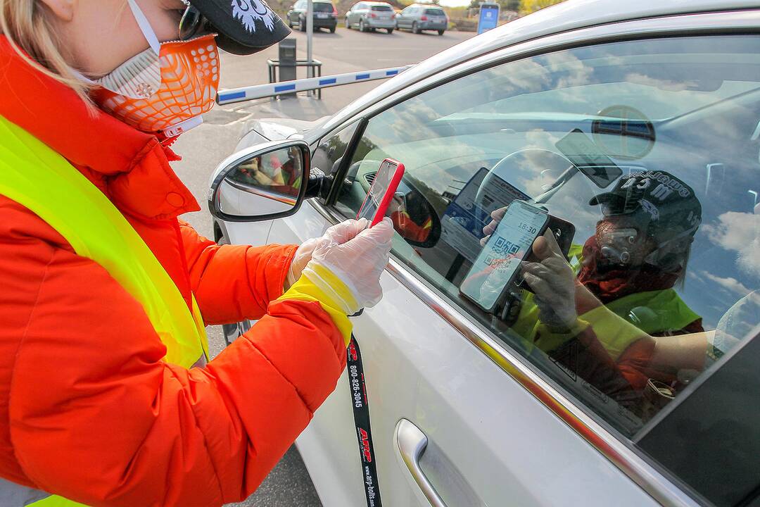 Kinas iš automobilio Nemuno saloje