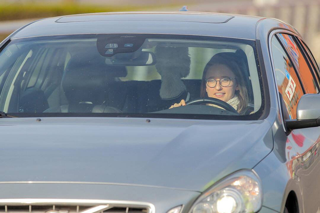 Kinas iš automobilio Nemuno saloje