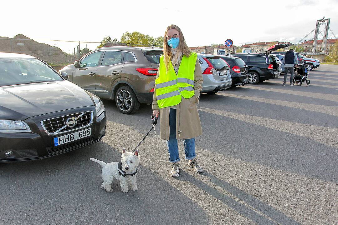 Kinas iš automobilio Nemuno saloje
