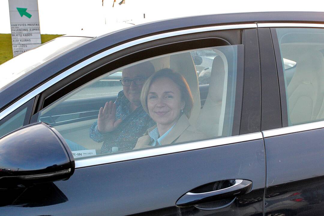 Kinas iš automobilio Nemuno saloje