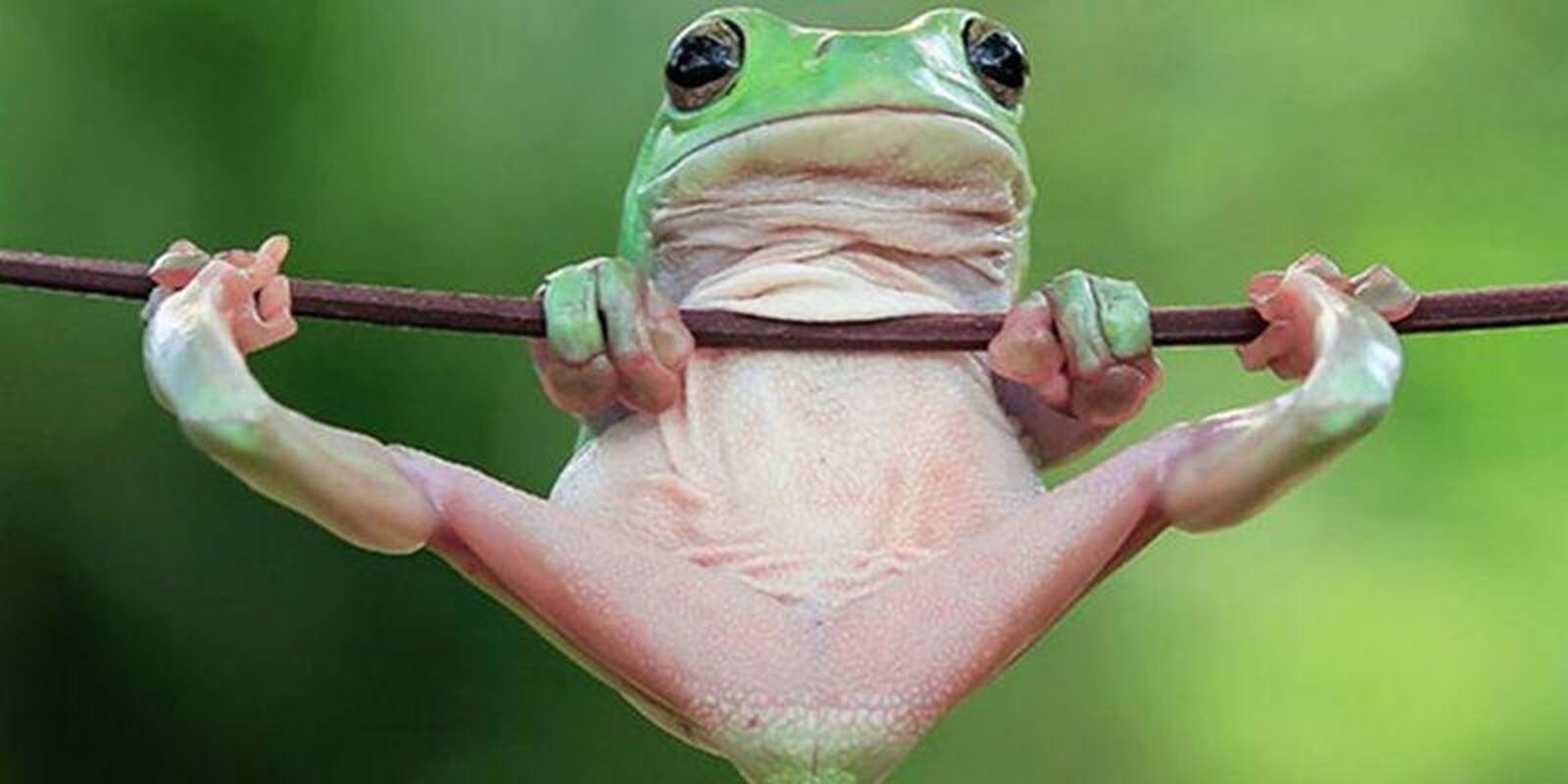 Pastebėjimas: po grožio konkursų persirengimo kambaryje merginos pasiskirsto į nelaimėjusias ir "tą baidyklę".