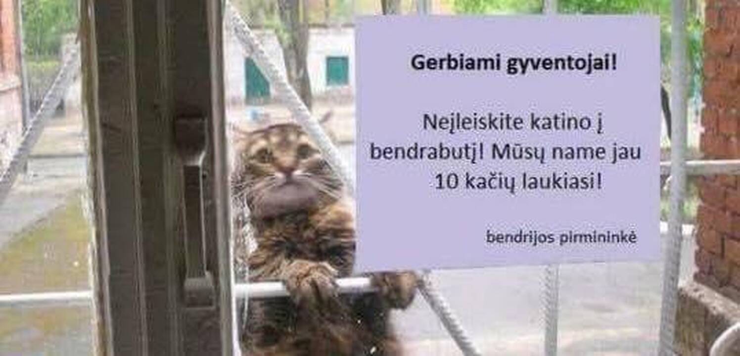 Prašymas: rainiui dėl priklijuoto skelbimo patekti į laiptinę bus sunkiau.