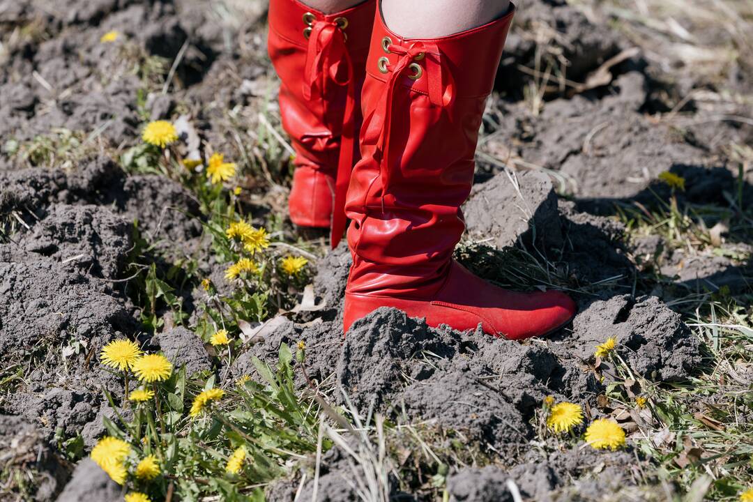 Ukrainos karo aukų atminimo ąžuolyne - dar daugiau ąžuolų