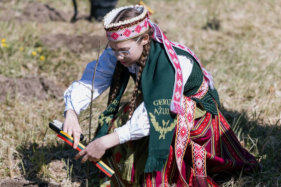 Ukrainos karo aukų atminimo ąžuolyne - dar daugiau ąžuolų