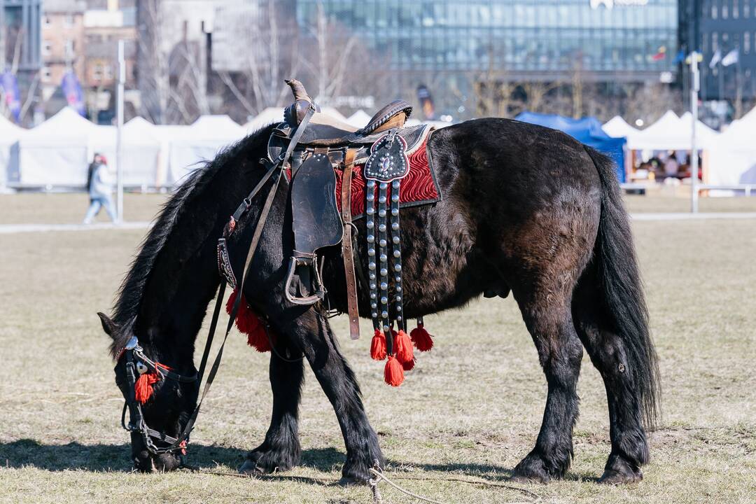 Kaziuko mugė Kaune: nuo tradicinių verbų iki rytietiškų skanėstų