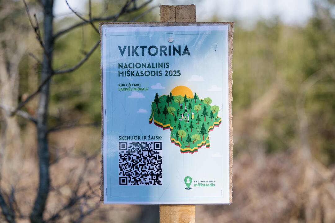 Miškasodis