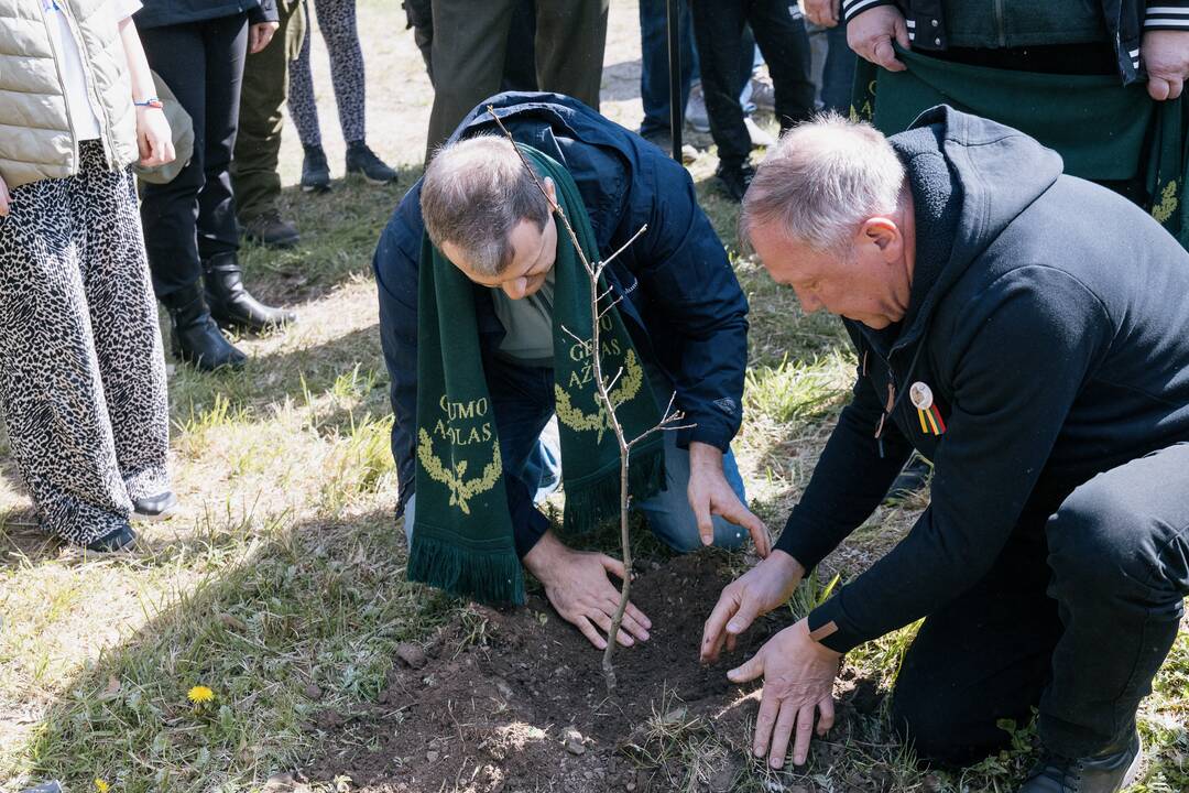 Ukrainos karo aukų atminimo ąžuolyne - dar daugiau ąžuolų
