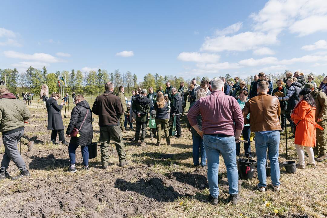 Ukrainos karo aukų atminimo ąžuolyne - dar daugiau ąžuolų