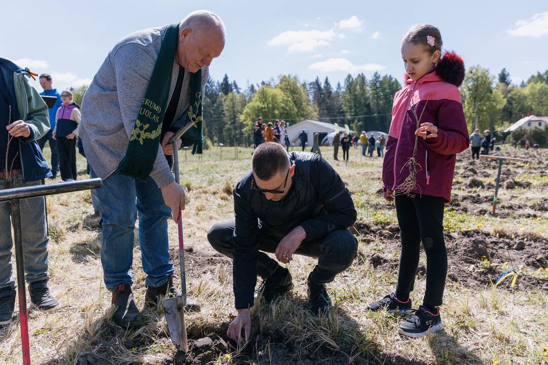 Ukrainos karo aukų atminimo ąžuolyne - dar daugiau ąžuolų