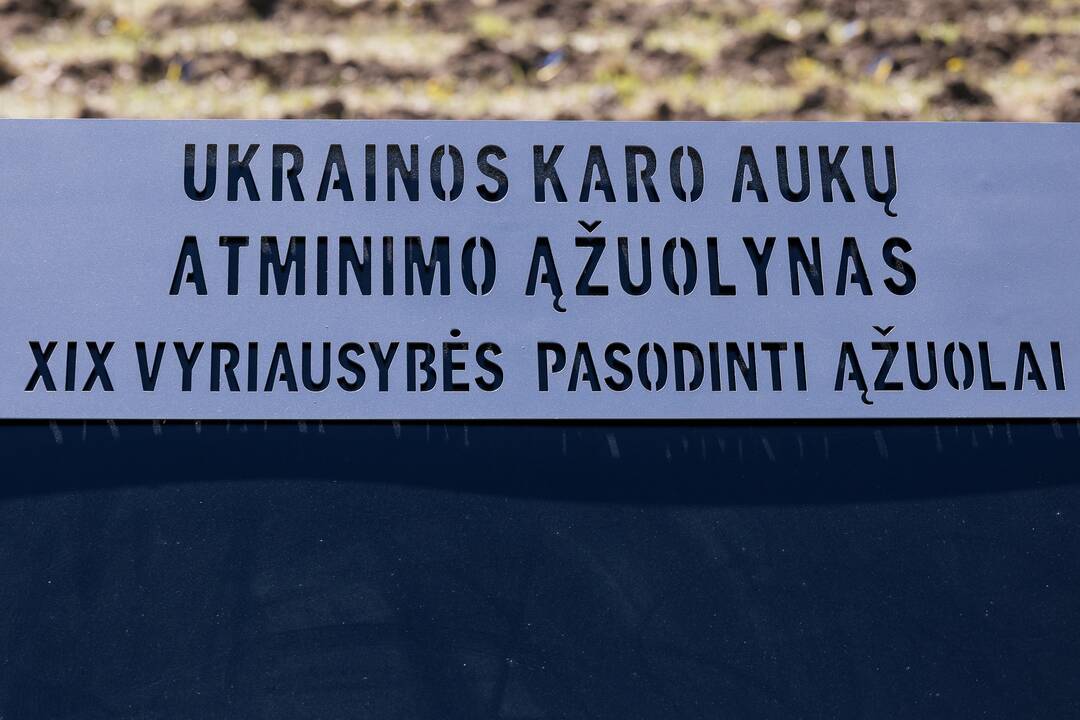Ukrainos karo aukų atminimo ąžuolyne - dar daugiau ąžuolų
