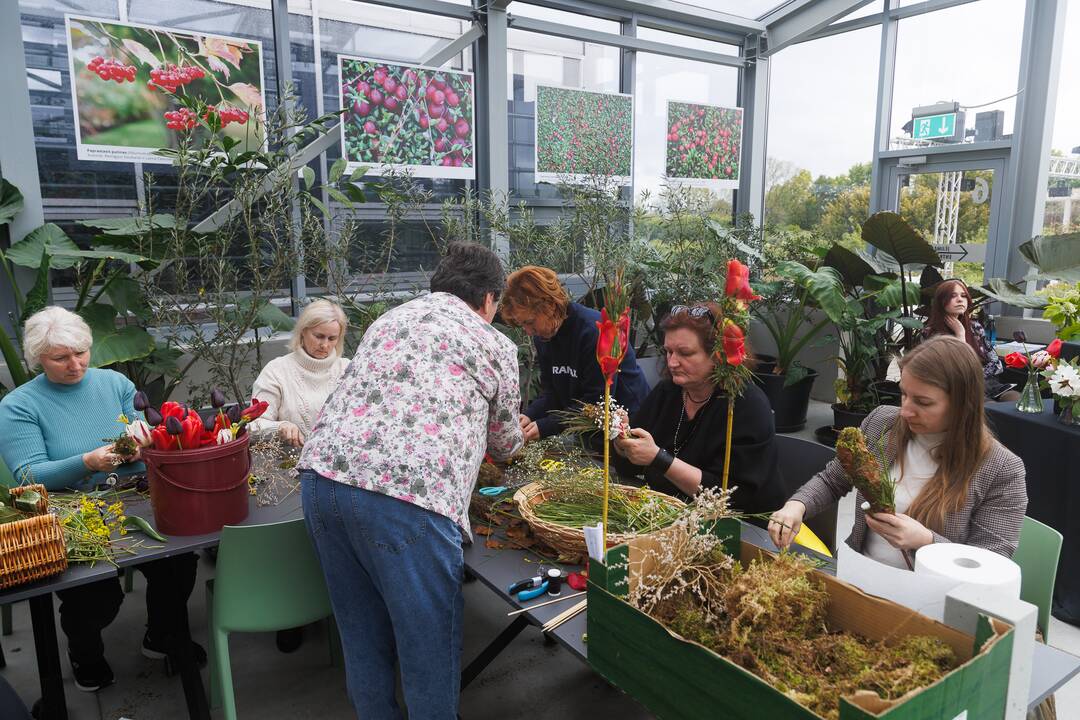 „Botaninių naktų“ magija ir koncertas
