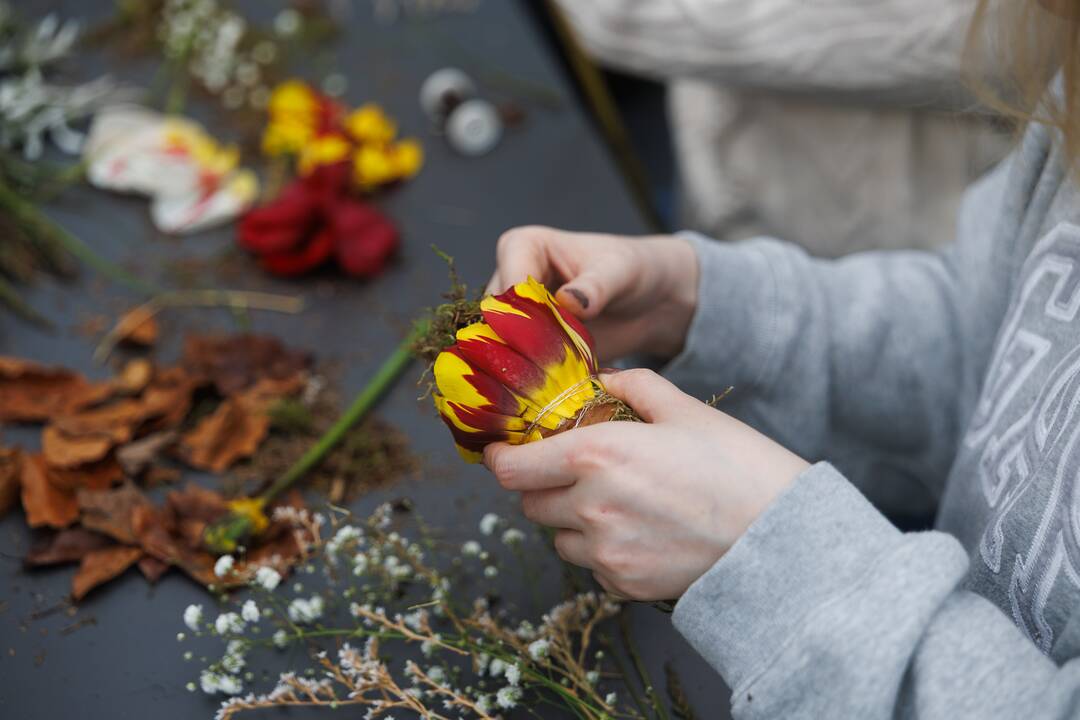 „Botaninių naktų“ magija ir koncertas