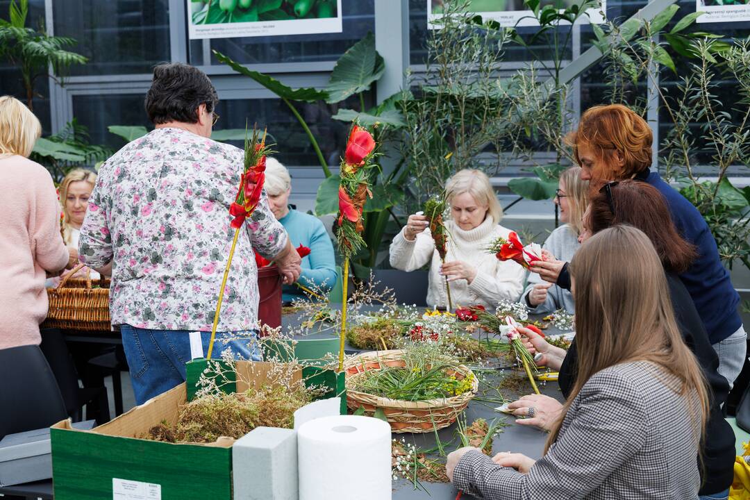 „Botaninių naktų“ magija ir koncertas