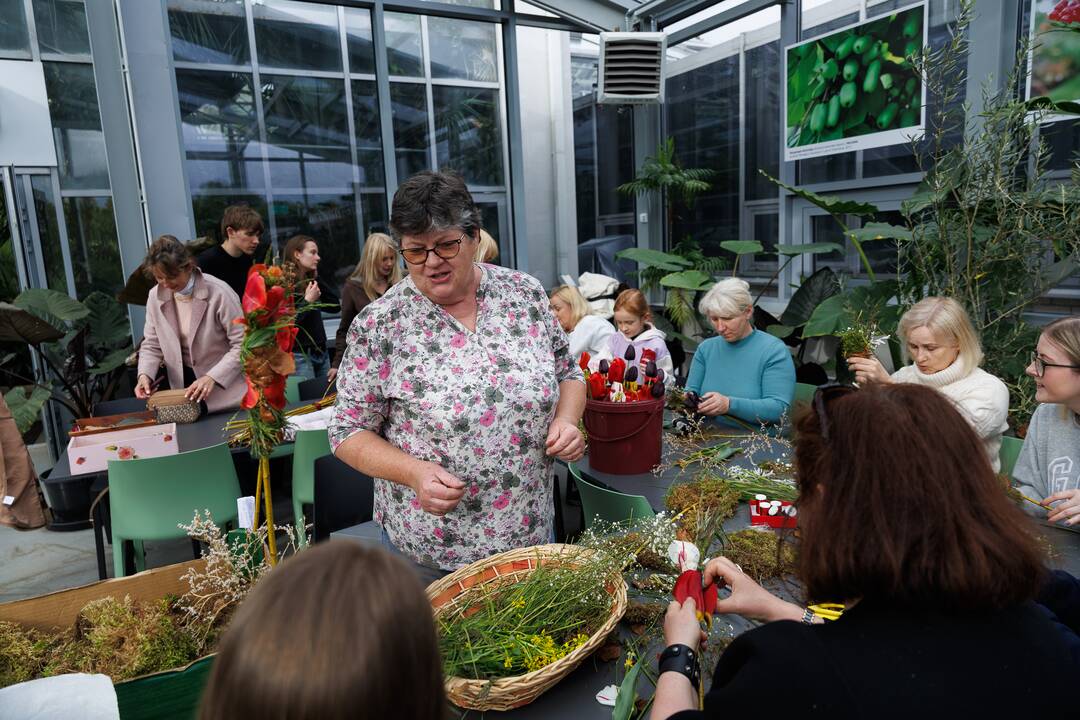 „Botaninių naktų“ magija ir koncertas