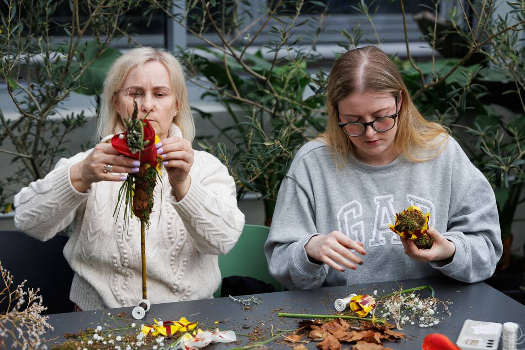 „Botaninių naktų“ magija ir koncertas