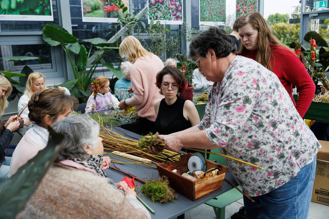 „Botaninių naktų“ magija ir koncertas