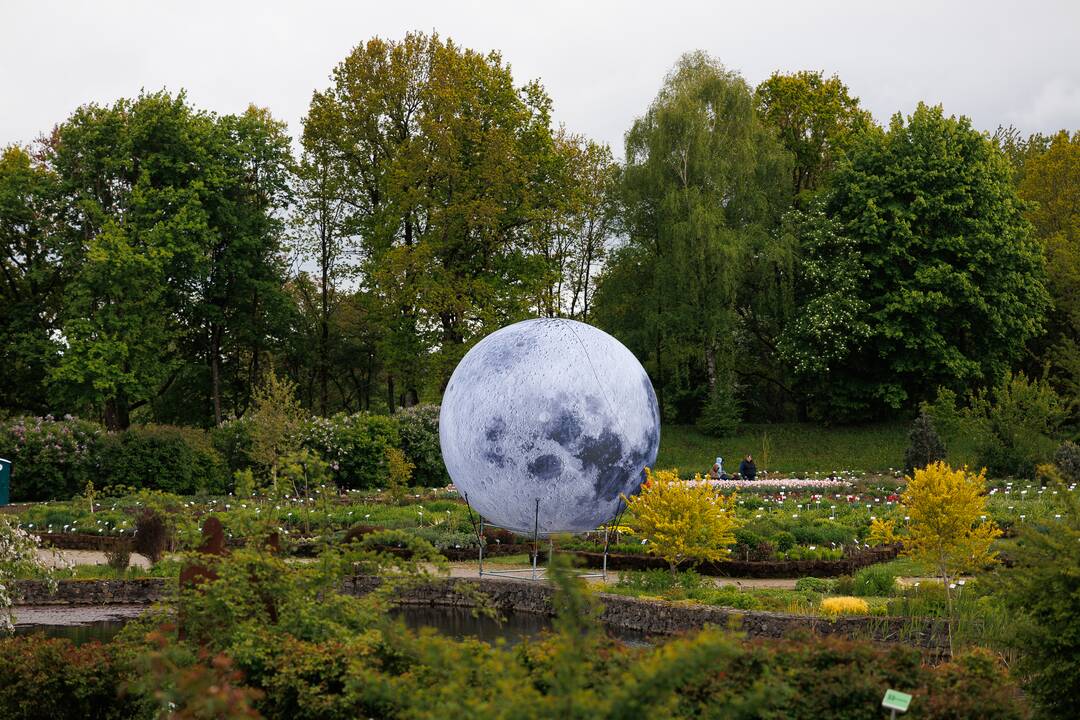 „Botaninių naktų“ magija ir koncertas