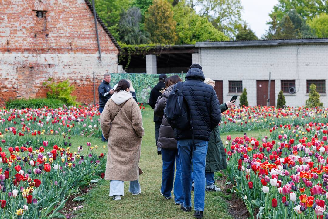 „Botaninių naktų“ magija ir koncertas