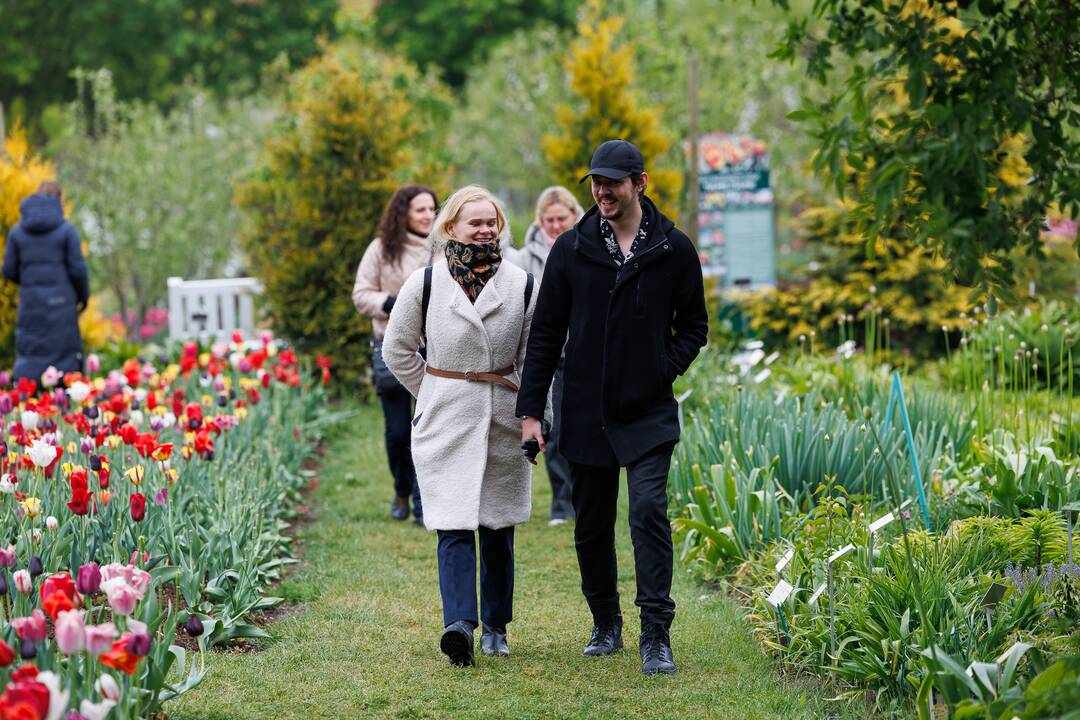 „Botaninių naktų“ magija ir koncertas