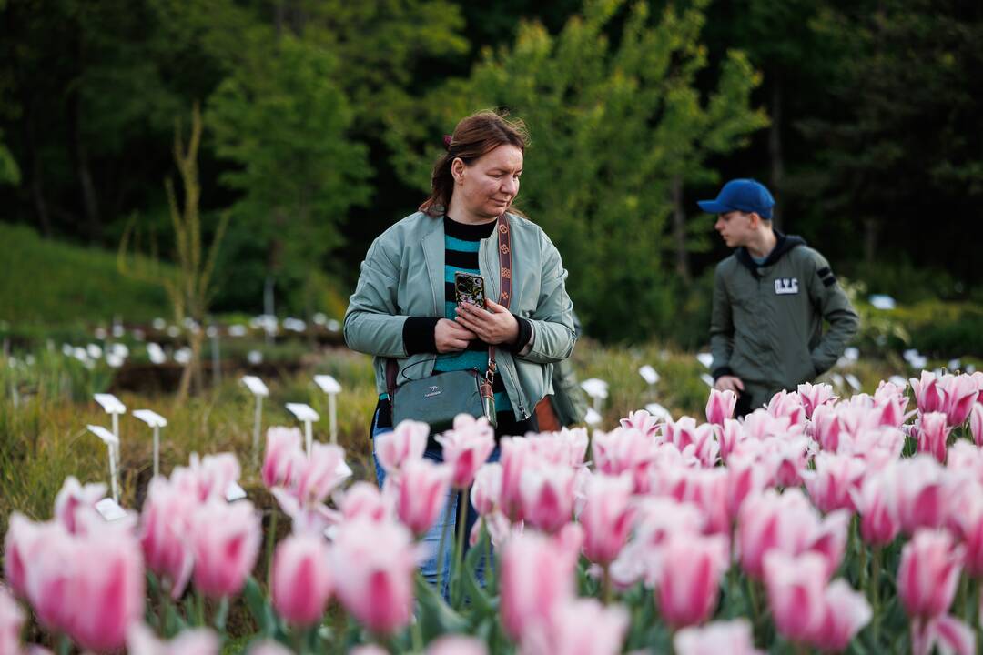 „Botaninių naktų“ magija ir koncertas