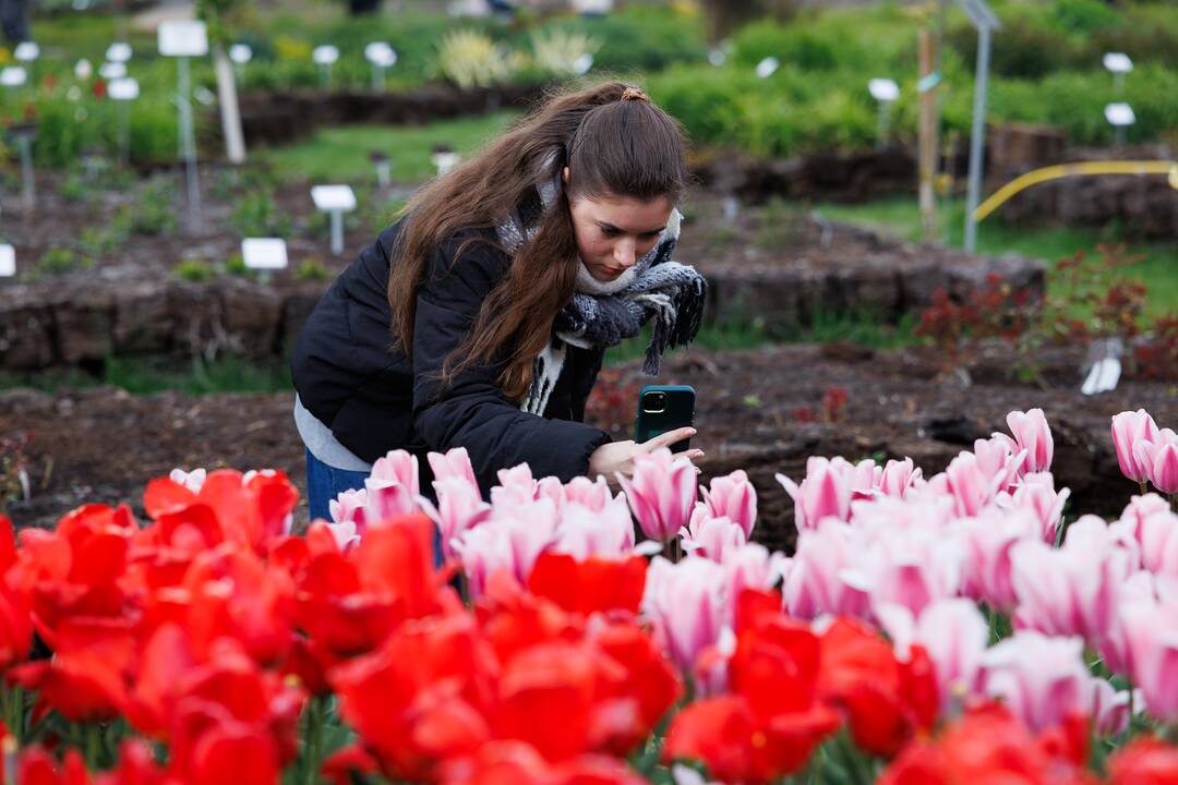 „Botaninių naktų“ magija ir koncertas