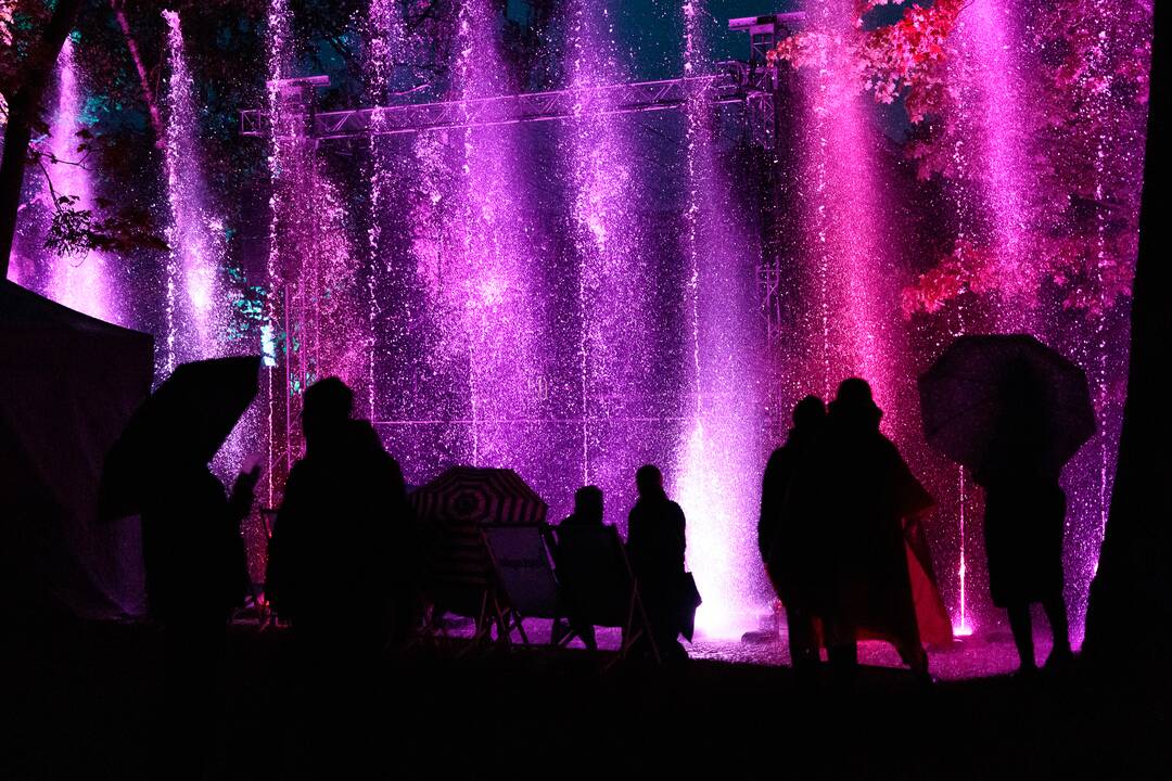„Botaninių naktų“ magija ir koncertas