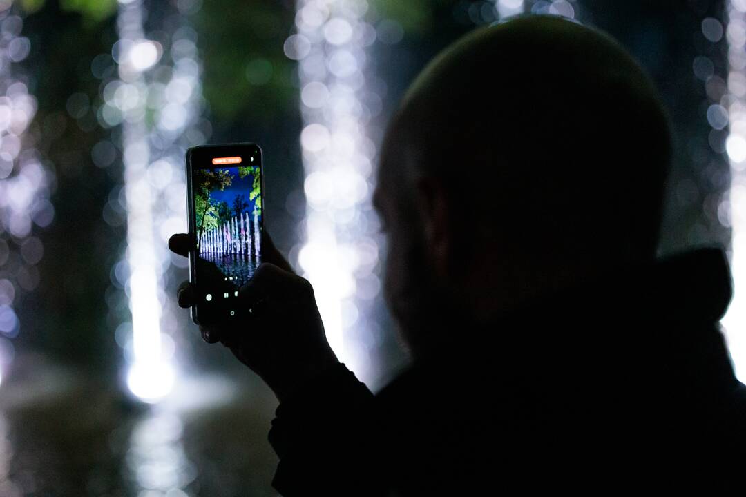 „Botaninių naktų“ magija ir koncertas
