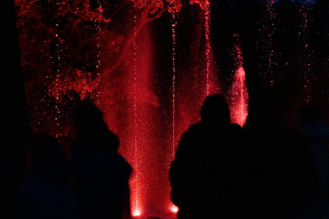 „Botaninių naktų“ magija ir koncertas