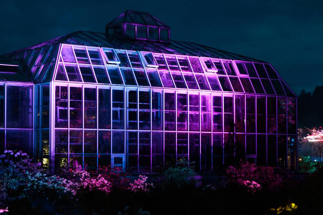 „Botaninių naktų“ magija ir koncertas