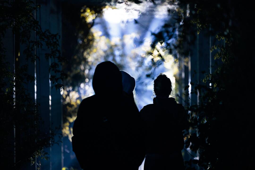 „Botaninių naktų“ magija ir koncertas