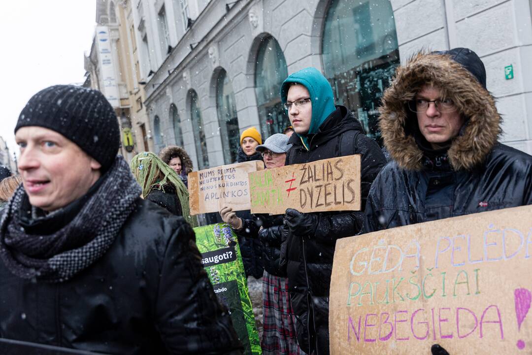 Vilniuje – aplinkosaugininkų kontroprotestas prieš ūkininkų mitingą