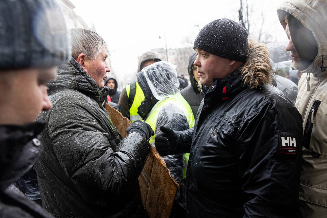 Vilniuje – aplinkosaugininkų kontroprotestas prieš ūkininkų mitingą