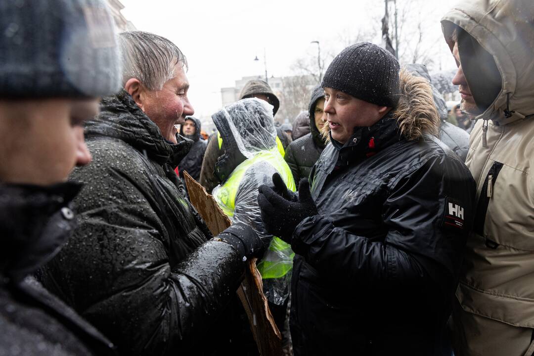 Vilniuje – aplinkosaugininkų kontroprotestas prieš ūkininkų mitingą