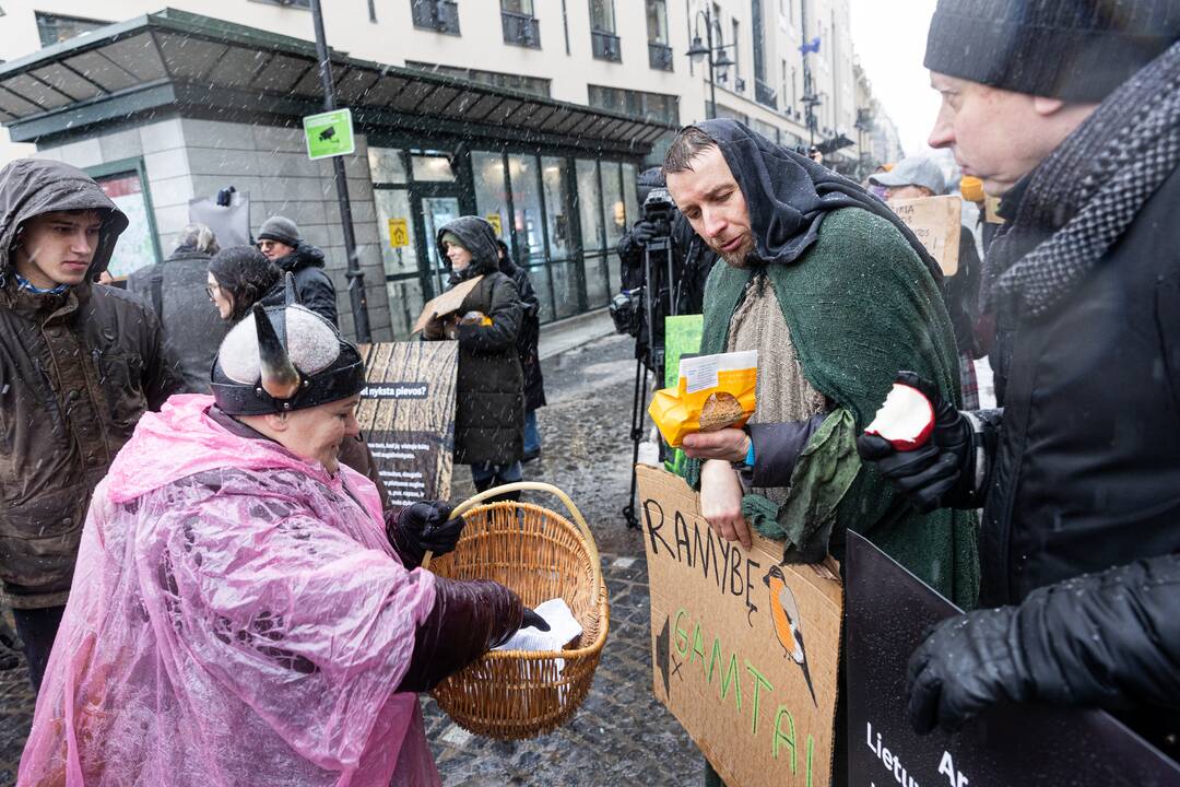 Vilniuje – aplinkosaugininkų kontroprotestas prieš ūkininkų mitingą