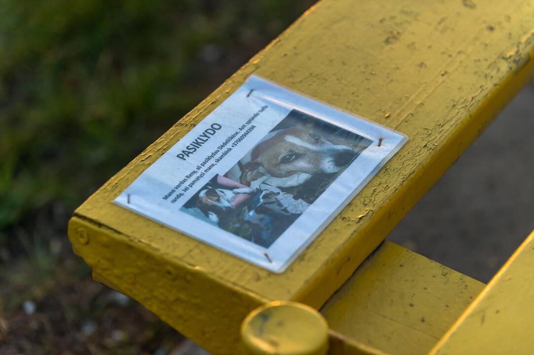Vilniaus miestas uždarė įvažiavimus
