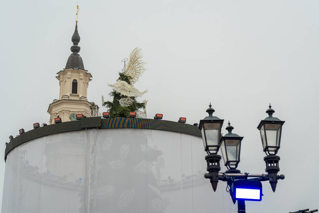 Kauno Kalėdų eglė prieš įžiebimą