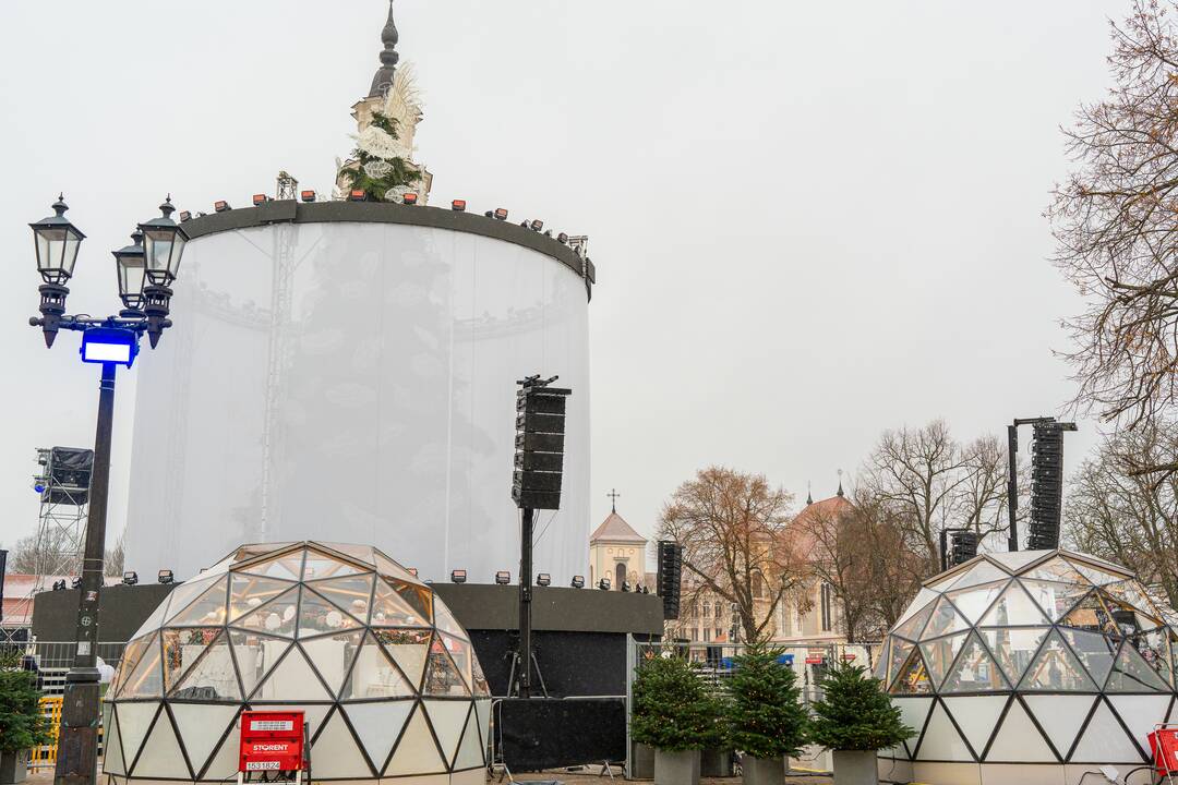 Kauno Kalėdų eglė prieš įžiebimą