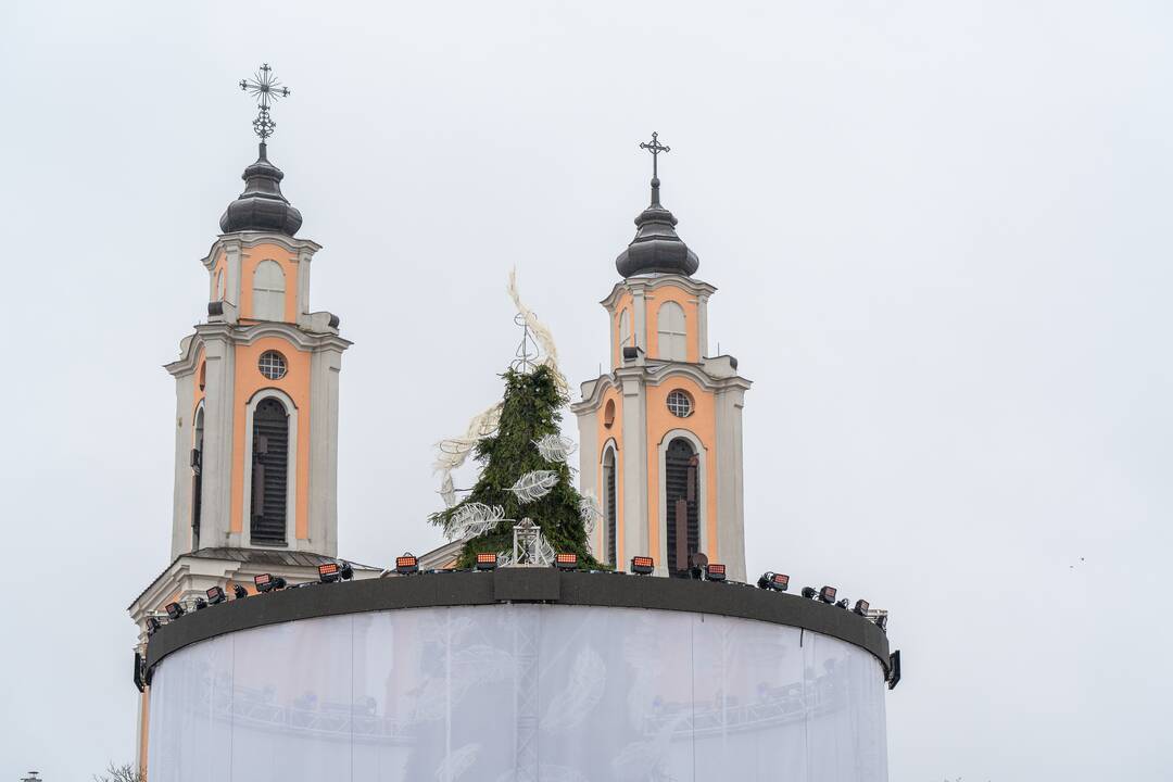 Kauno Kalėdų eglė prieš įžiebimą